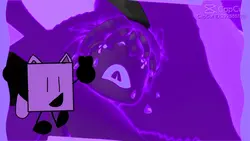 Purple cat major