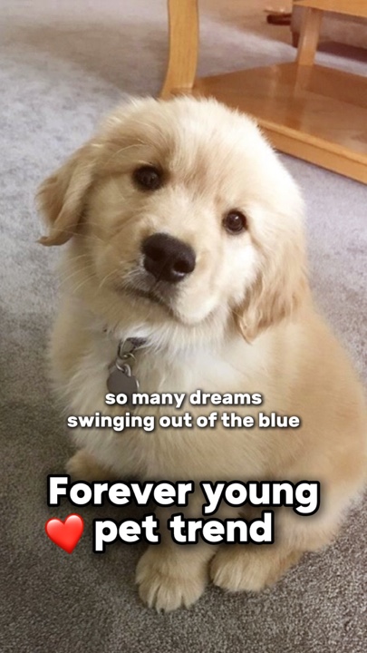 Für immer jung🐶❤️