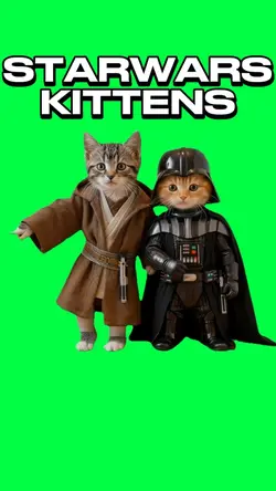 STARWARS KITTENS
