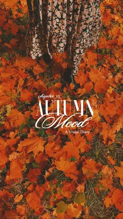 Autumn Vlog