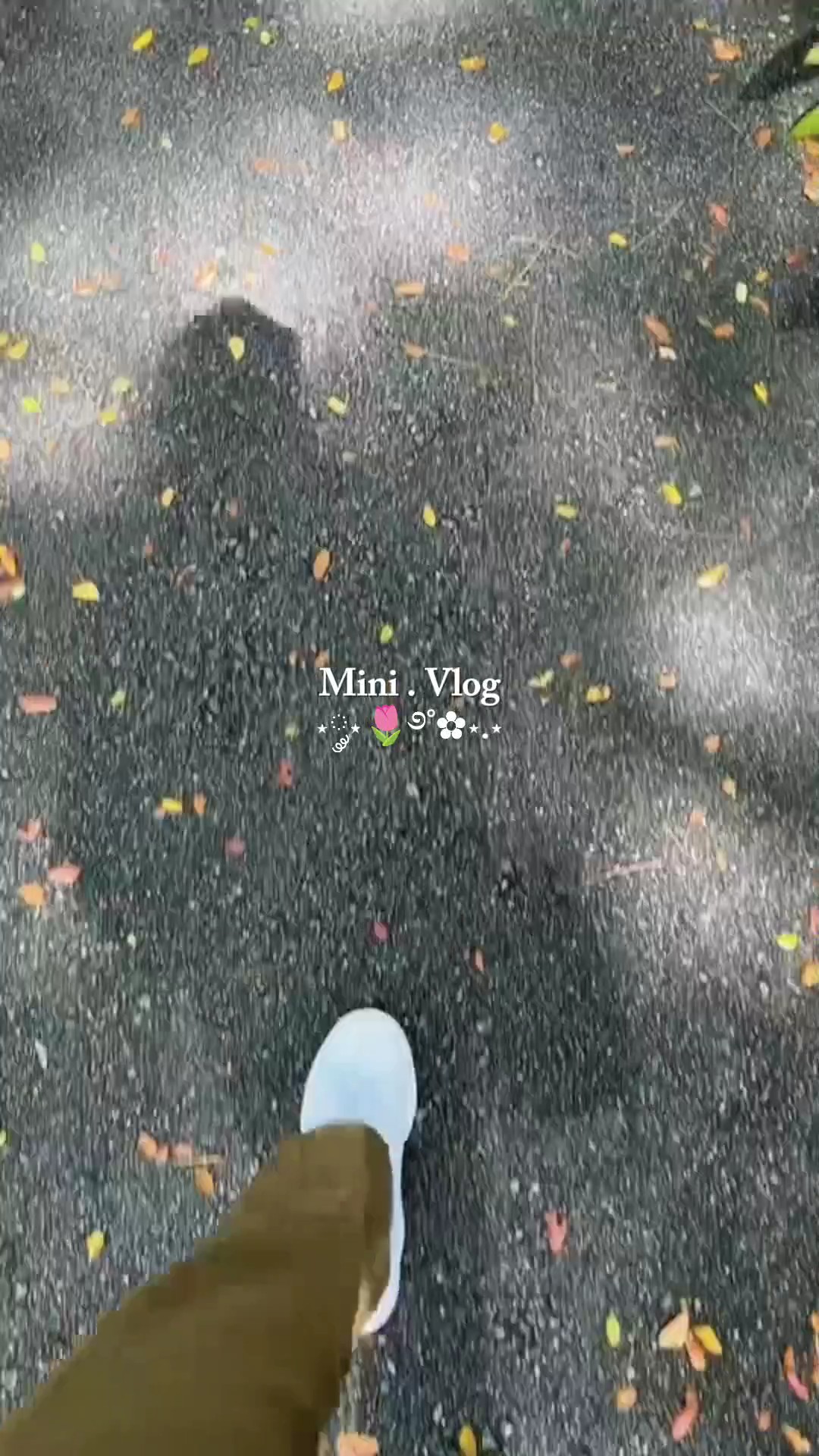 Today mini vlog