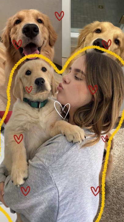 Köpek en iyi arkadaşı 