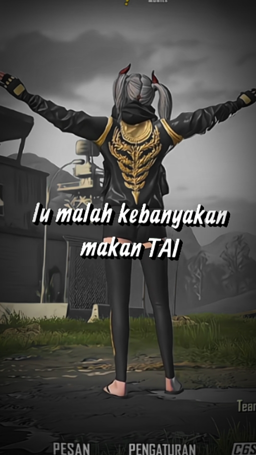 Pubg Template