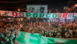 mancha verde 