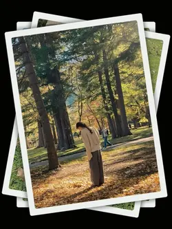 15PicClip Transition