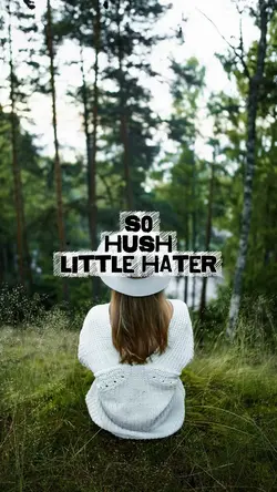 Hush lil hater
