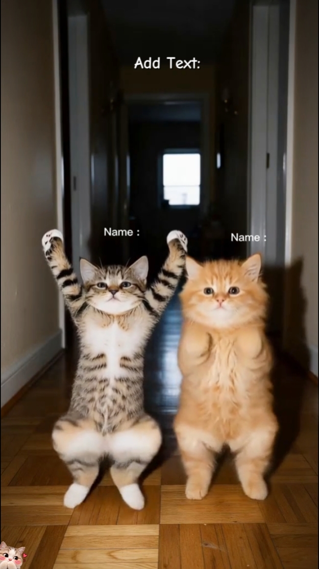 Tendance chat mignon 