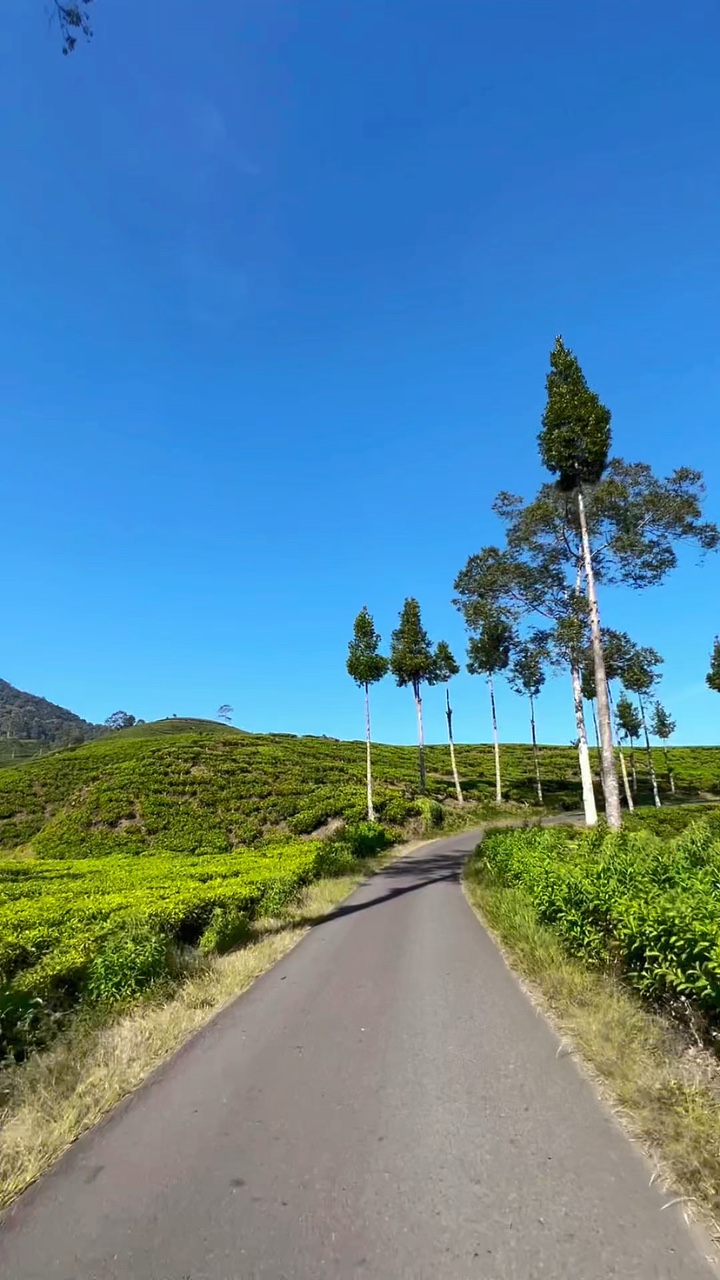 6 video travel