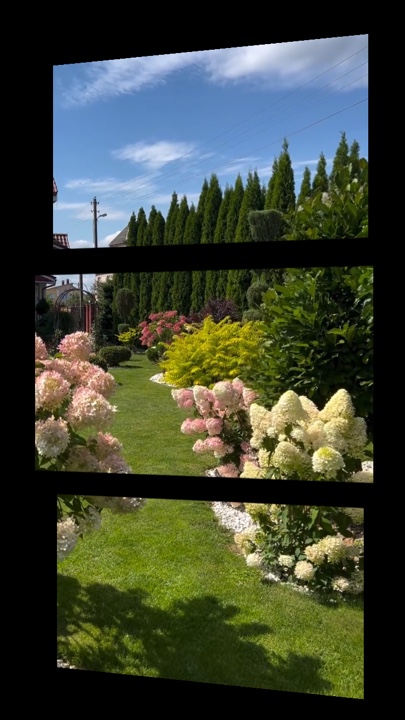 Gardening