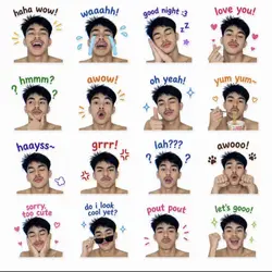 Ai sticker