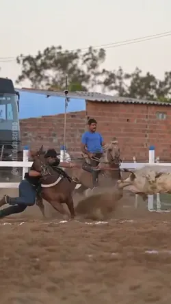 Nessa pegada 
