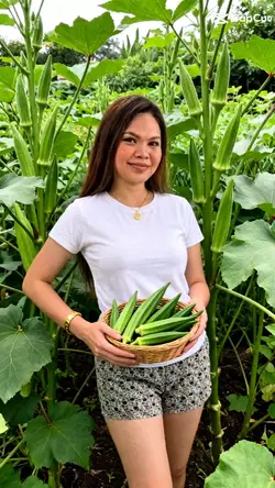 MODEL OF OKRA