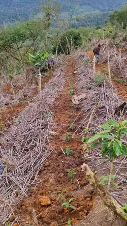 la escuela de la vid