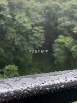 Moon Lovers