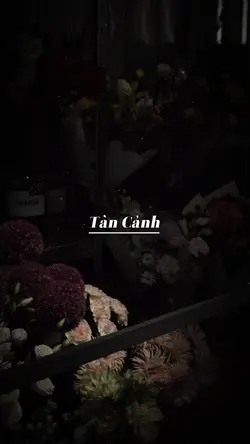 Tàn Cảnh