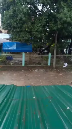 Pati aso ng relapse 