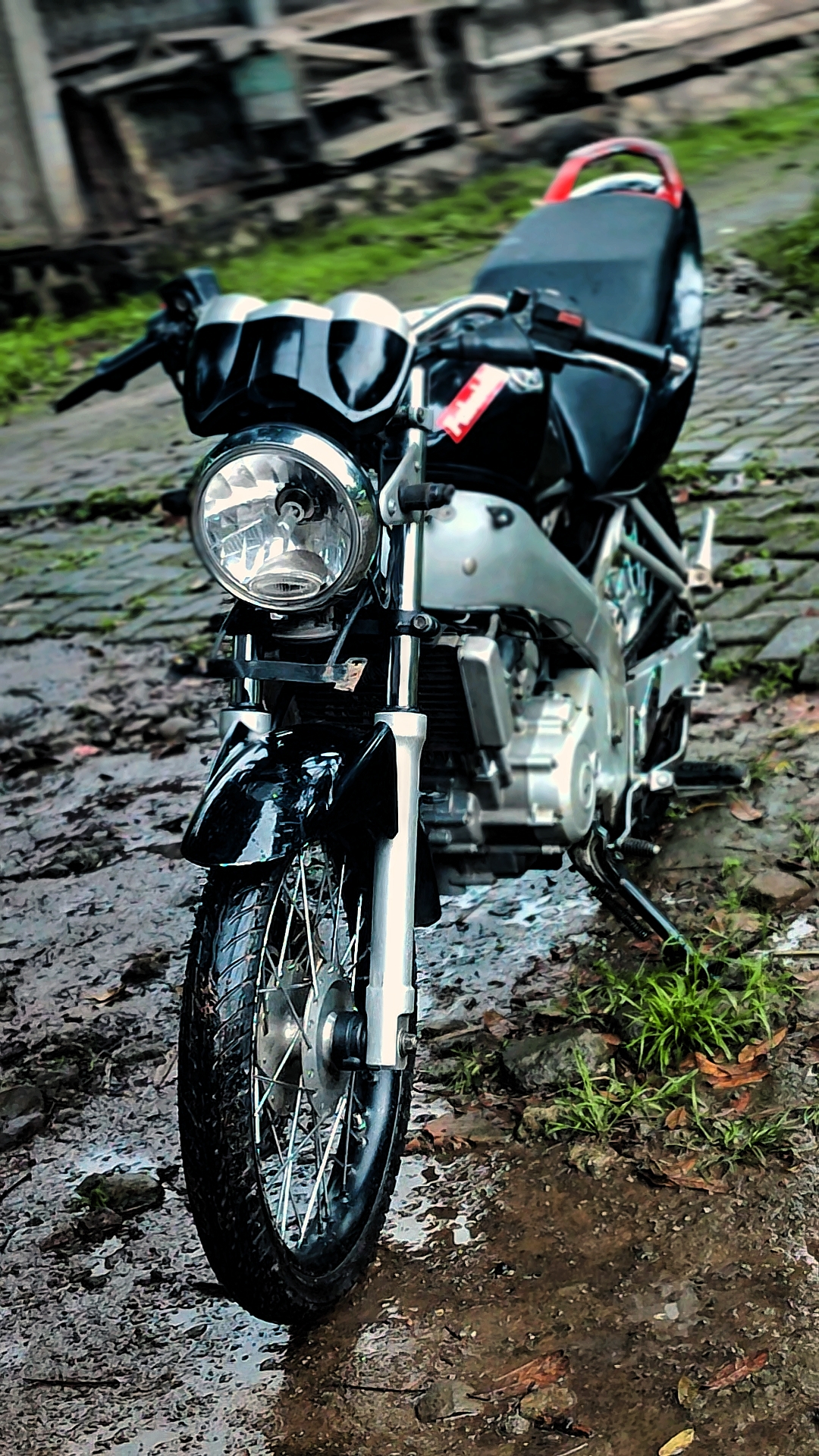 Cover Picture