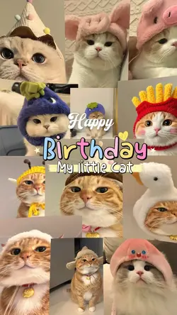 Birthday my cat