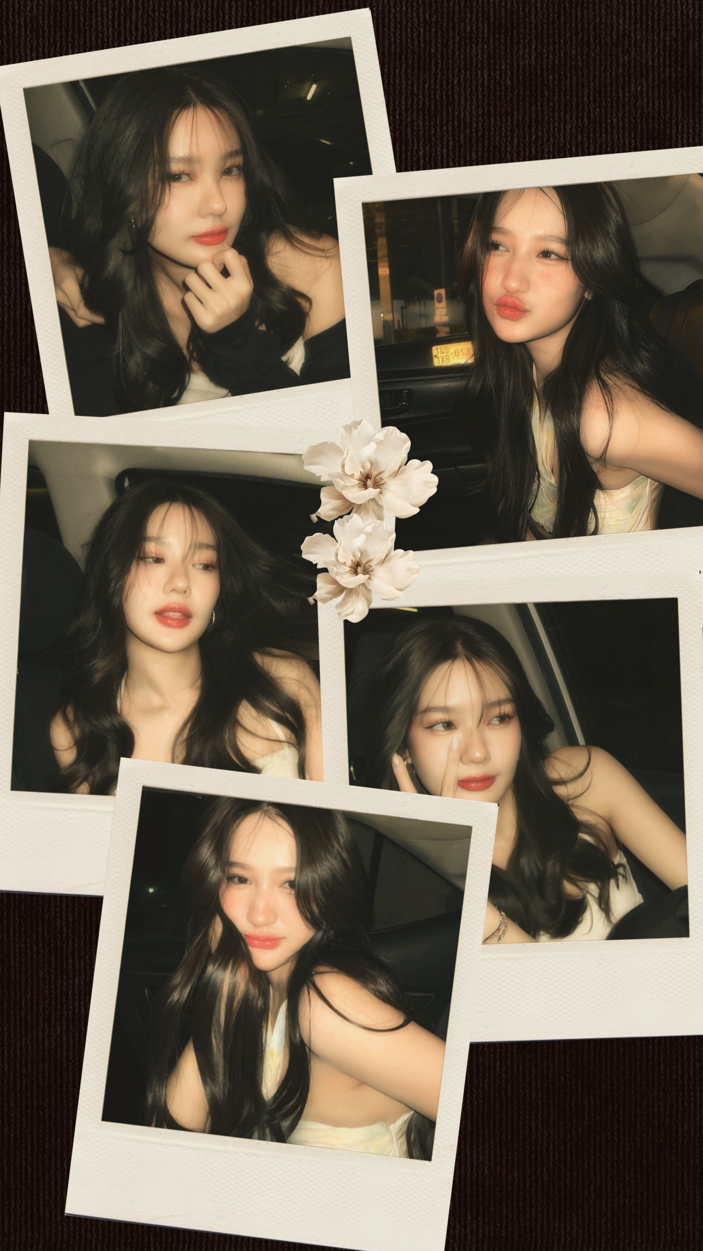 Polaroid de 5 fotogramas 
