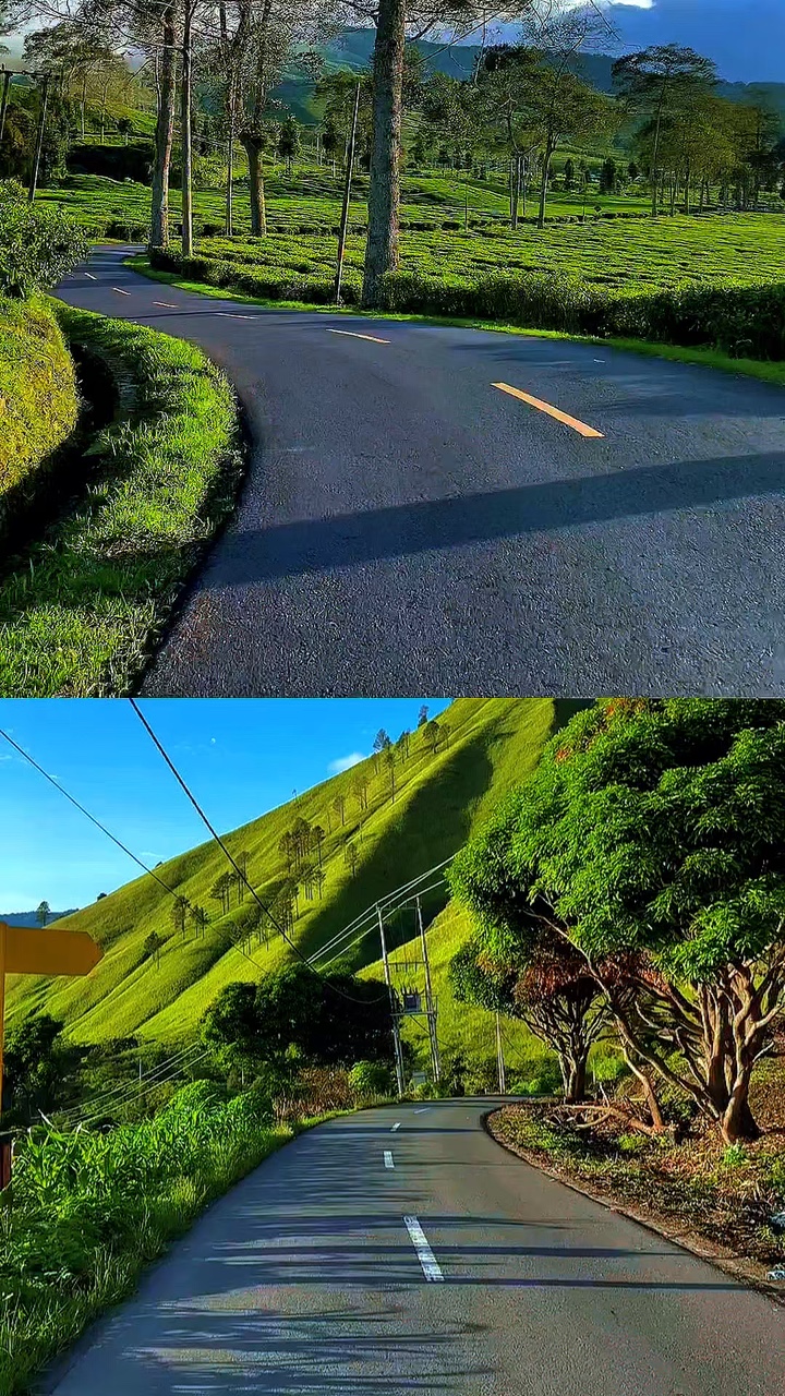 2 collage ng video
