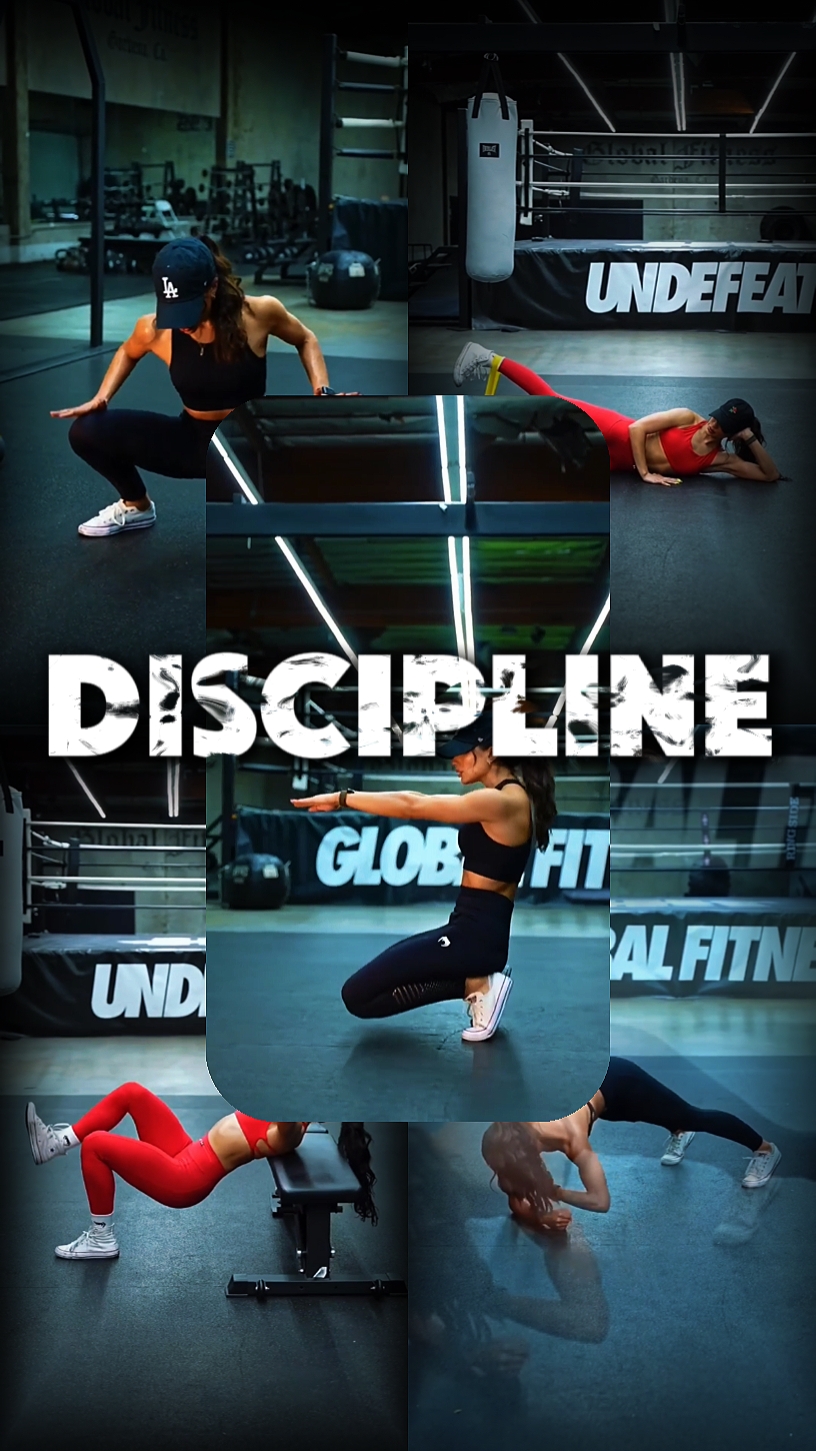 Disciplina