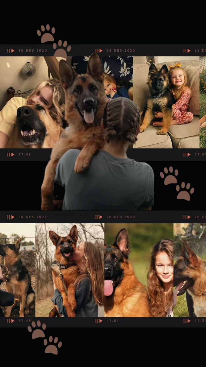 Dog grow up with bab