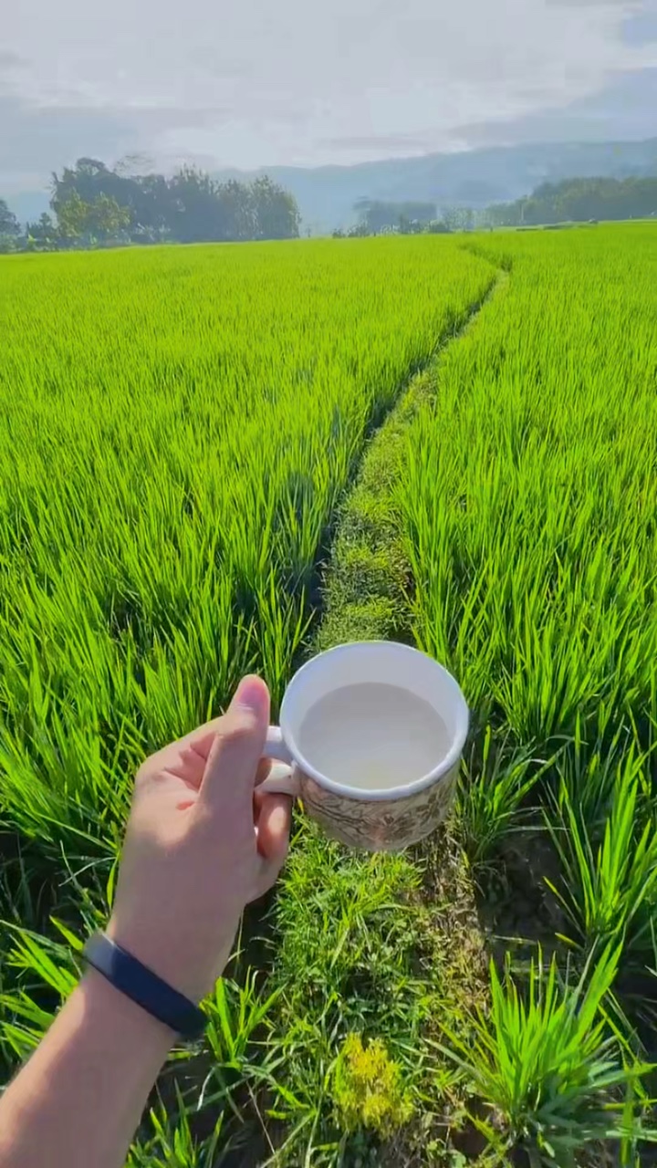 2 filtro de vídeo cerah