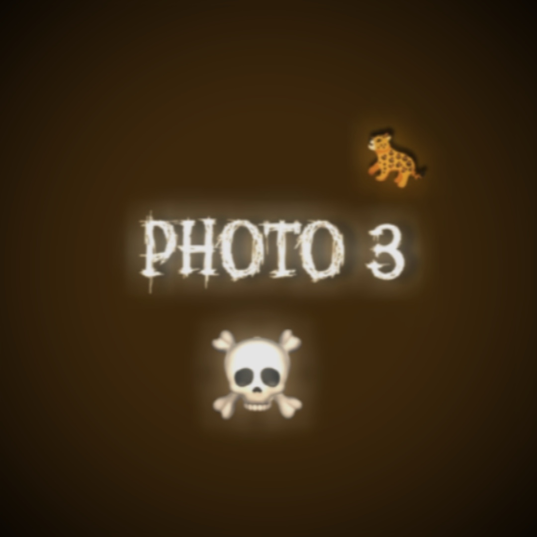 Cover Picture