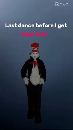 Cat in the hat 