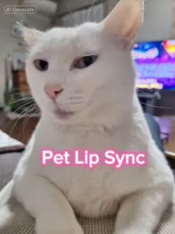 Pet Lip Sync 