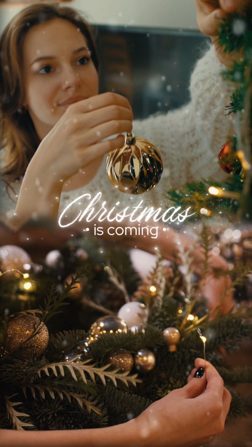 Navidad 2 Videos