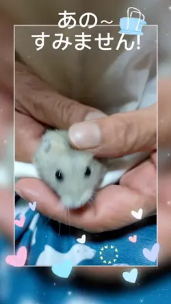 ハムちゃんで作って見ました