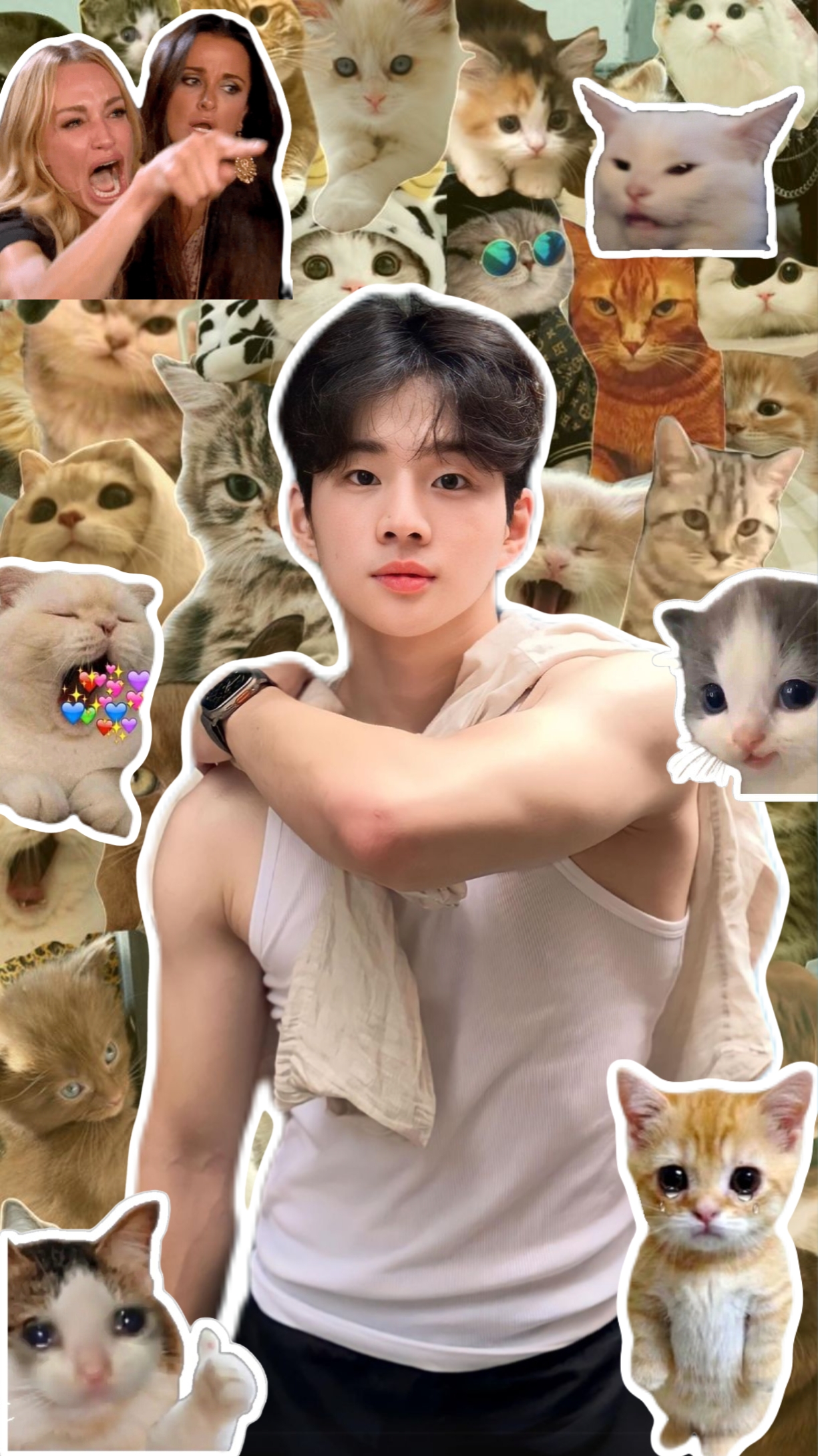Kucing Imut