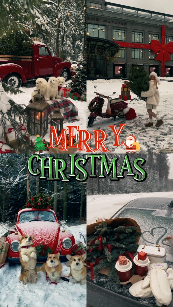 FROHE WEIHNACHTEN 