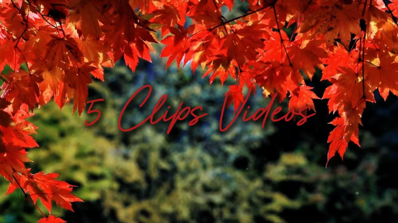 CINEMATIC 5 VIDEOS