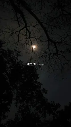 Malam tak berjudul