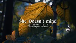 Vlog Aesthetic Viral