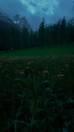 islamic video 