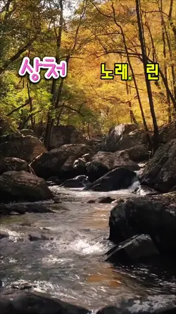 상처