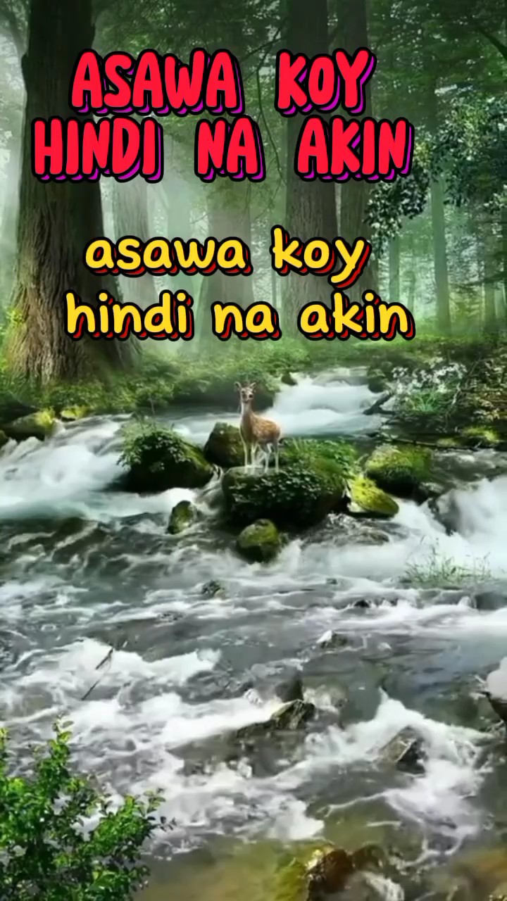 ASAWA KOY HINDI AKIN