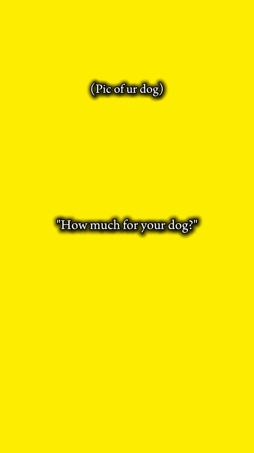 Hund