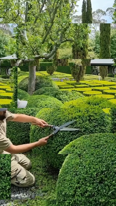 Berkebun