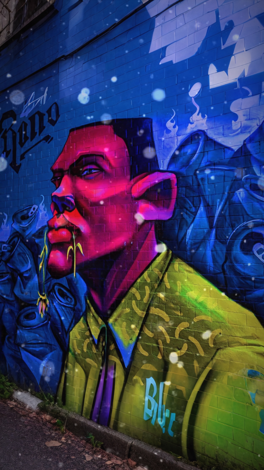 Cover Picture