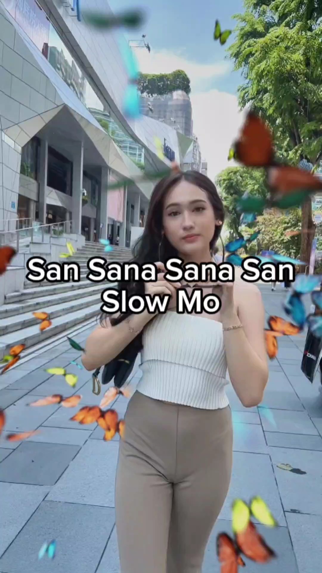 San Sana San 