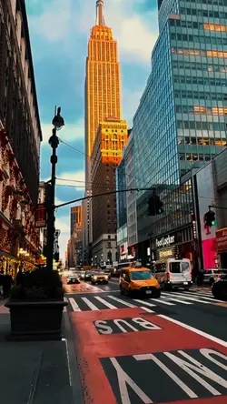 5 video clips