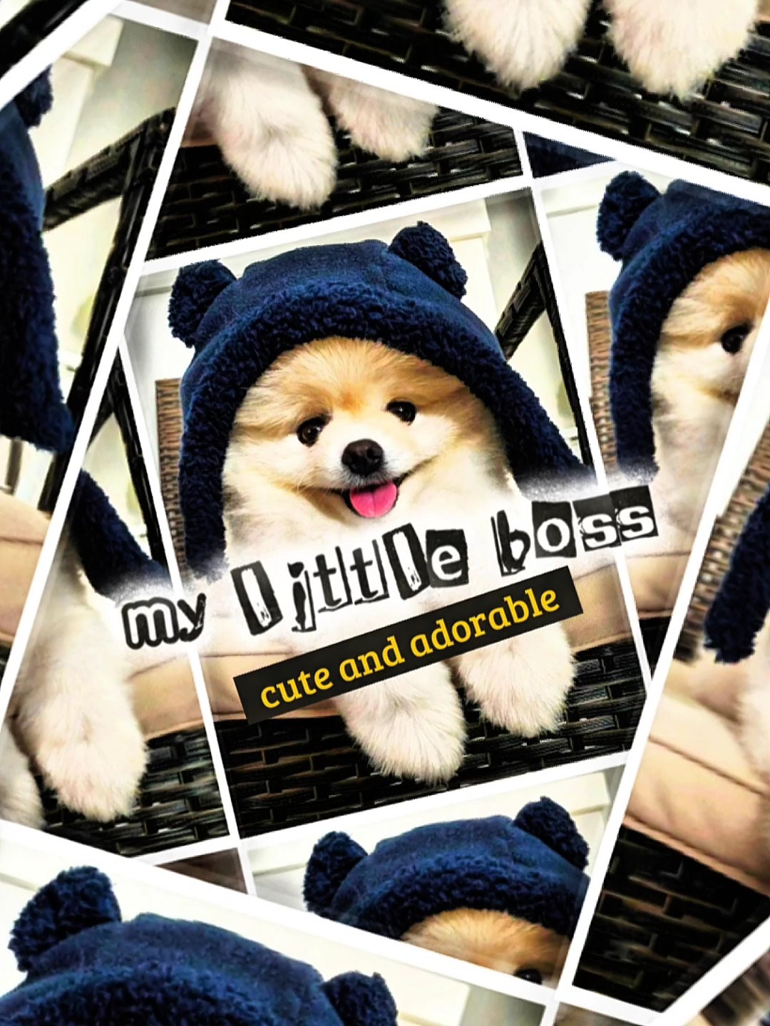 my little boss