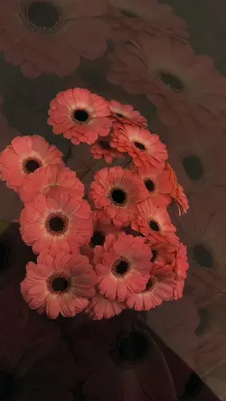Yeni şablon