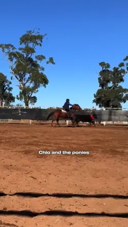 Chlo and the ponies