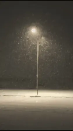 Sad Slowmotion