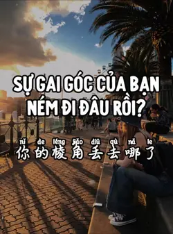你的棱角丢去哪了